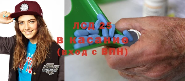 стаф Алзамай