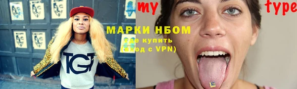 стаф Алзамай