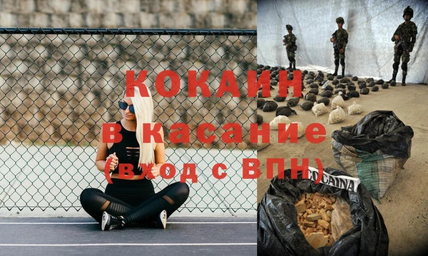 стаф Алзамай