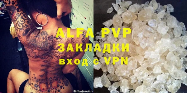 стаф Алзамай