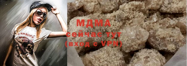 стаф Алзамай