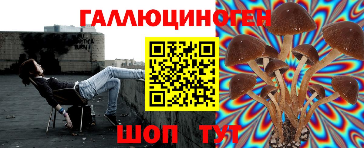 Галлюциногенные грибы MAGIC MUSHROOMS  Вход с VPN  Кохма 